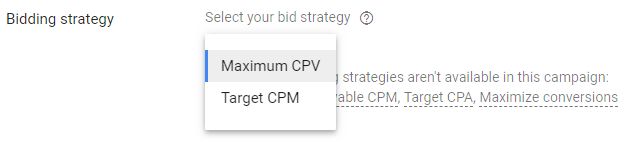 bidding strategy in youtube ads