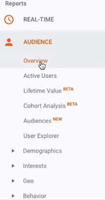 google analytics audience option