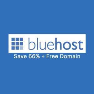 Buy a Bluehost Domain and Hosting